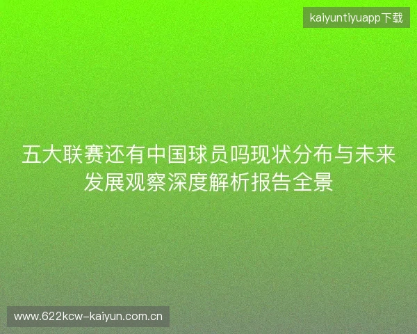 五大联赛还有中国球员吗现状分布与未来发展观察深度解析报告全景 五大联赛还有中国球员吗现状分布与未来发展观察深度解析报告全景