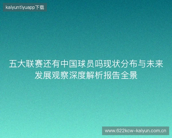 五大联赛还有中国球员吗现状分布与未来发展观察深度解析报告全景